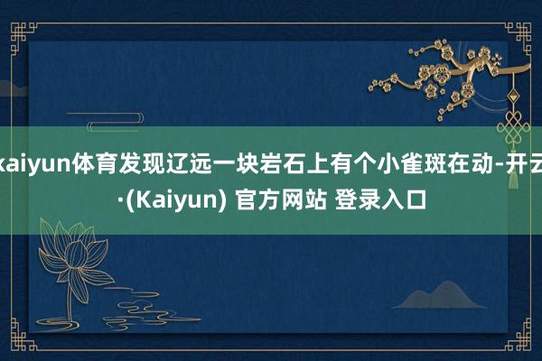 kaiyun体育发现辽远一块岩石上有个小雀斑在动-开云·(Kaiyun) 官方网站 登录入口