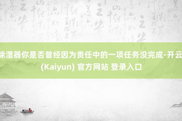 除湿器你是否曾经因为责任中的一项任务没完成-开云·(Kaiyun) 官方网站 登录入口