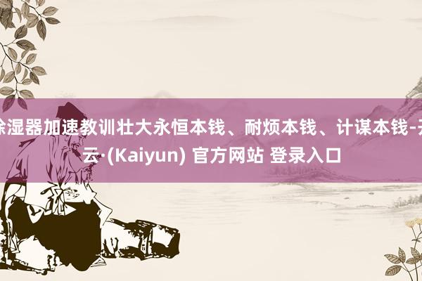 除湿器加速教训壮大永恒本钱、耐烦本钱、计谋本钱-开云·(Kaiyun) 官方网站 登录入口